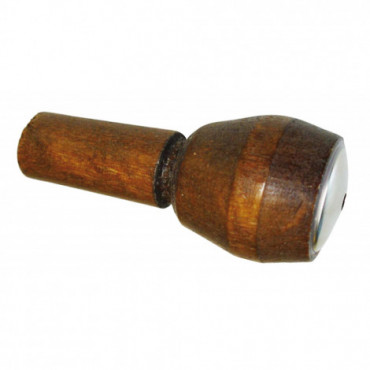 Appeau grive musicienne