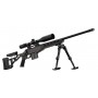 Pack HOWA 1500 châssis TSP-X 308 Win + bipied lourd + lunette + mallette 