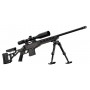Pack HOWA 1500 châssis TSP-X 308 Win + bipied lourd + lunette + mallette 