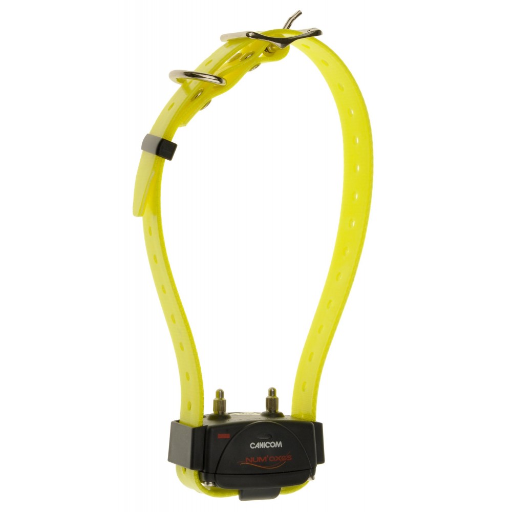 Collier d'éducation Canicom seul Collier seul CANICOM avec sangle jaune Fluo 