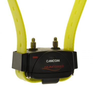 Collier d'éducation Canicom seul Collier seul CANICOM avec sangle jaune Fluo 
