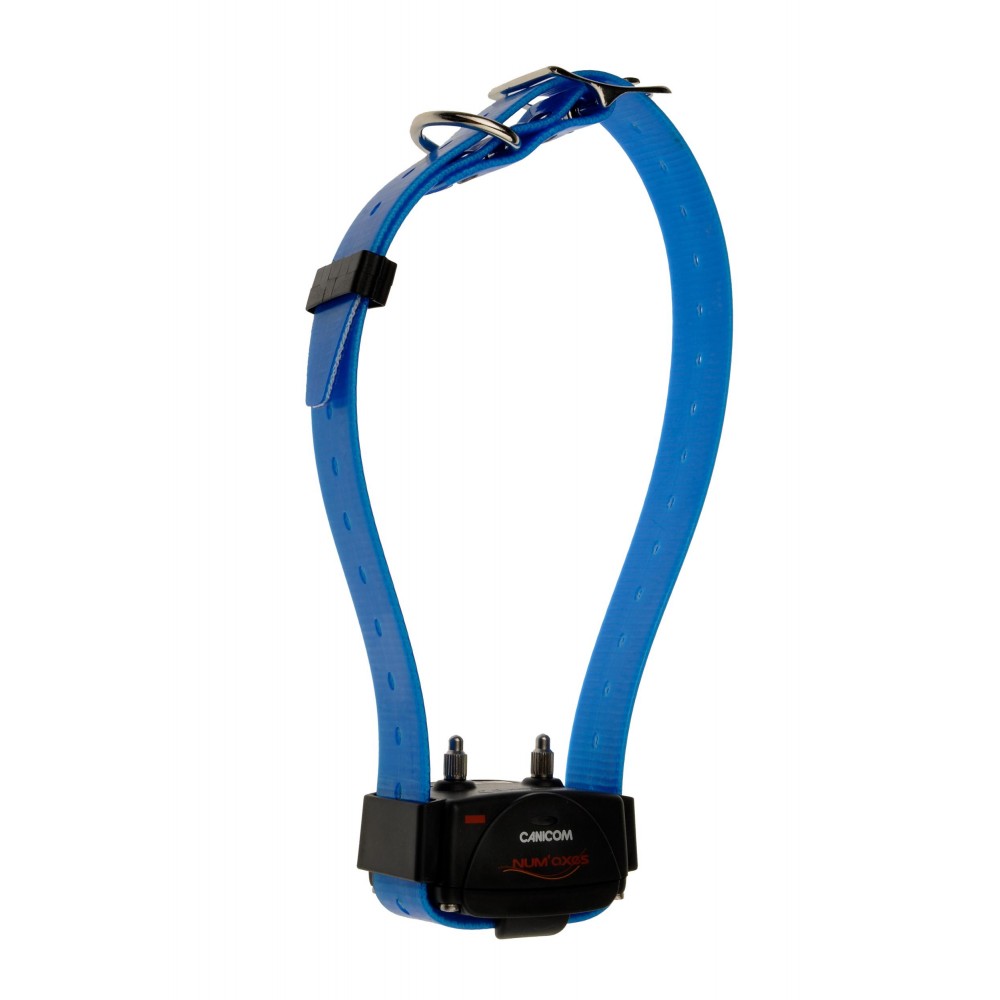 Collier d'éducation Canicom seul Collier seul CANICOM avec sangle bleue 