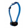 Collier d'éducation Canicom seul Collier seul CANICOM avec sangle bleue 