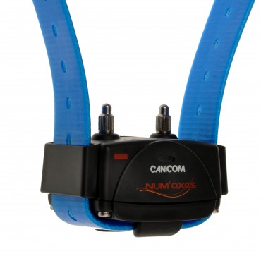 Collier d'éducation Canicom seul Collier seul CANICOM avec sangle bleue 