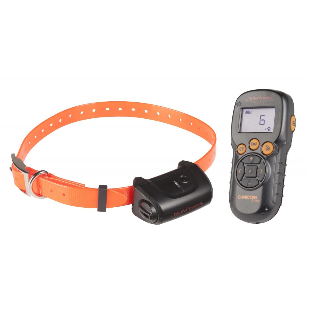 Kit Collier d'éducation Canicom 5.202 - 200m Canicom 5.202 1 chien 