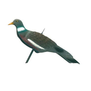 Appelant pigeon anglais