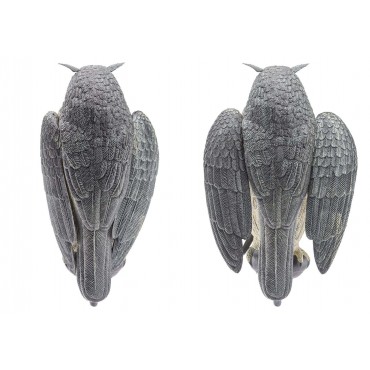 Appelant Grand Duc ailes battantes