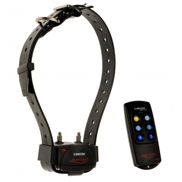 Kit Collier d'éducation Canicom 200 First - 200m Canicom 200 First 