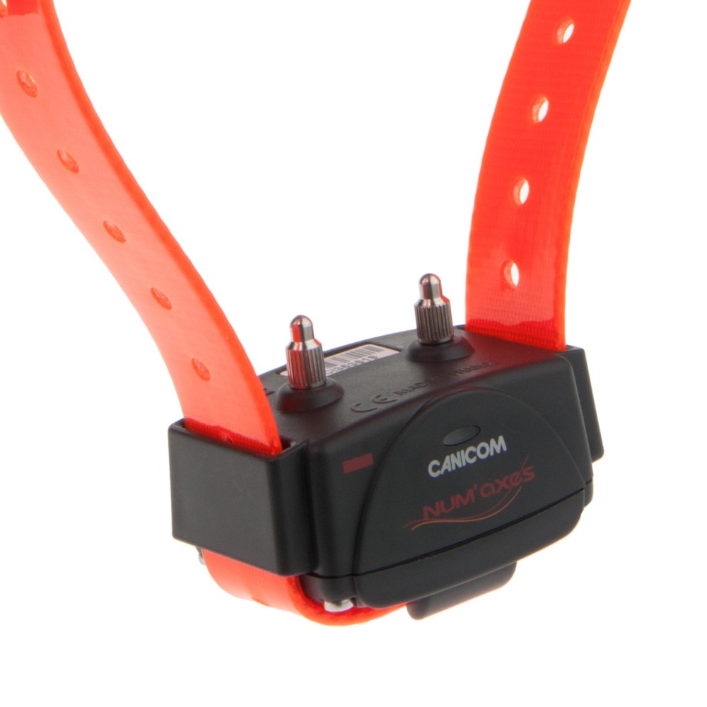 Collier d'éducation Canicom seul Collier seul CANICOM avec sangle orange Fluo 