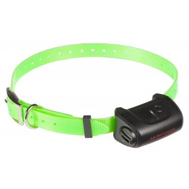Collier supplémentaire Canicom 5 Collier seul CANICOM 5 - sangle vert fluo 