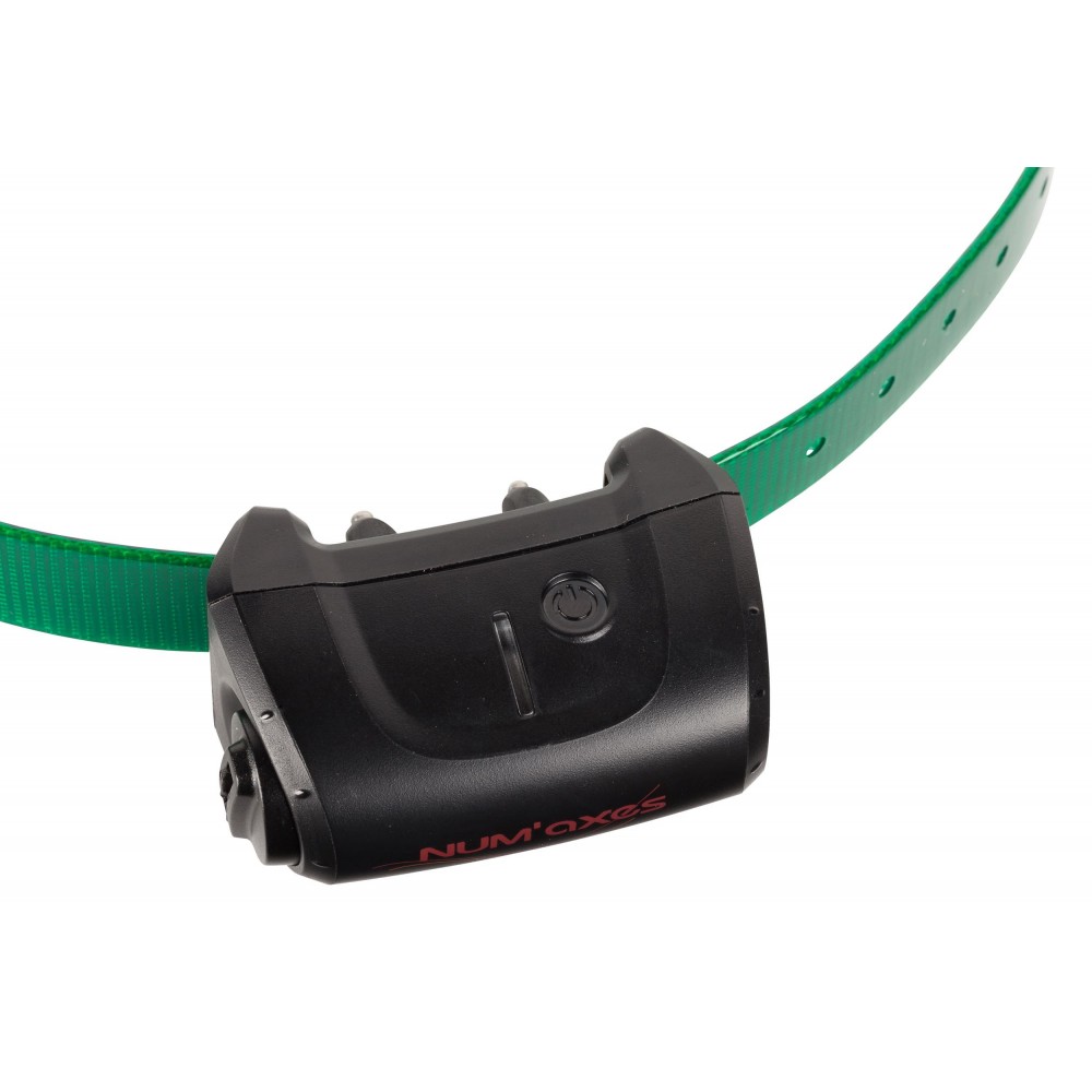 Collier supplémentaire Canicom 5 Collier seul CANICOM 5 - sangle vert foncé 