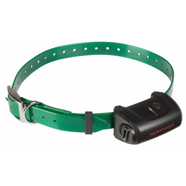 Collier supplémentaire Canicom 5 Collier seul CANICOM 5 - sangle vert foncé 