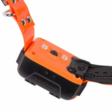 Kit Collier GPS Canicom - Repérage + dressage Collier seul Canicom GPS 