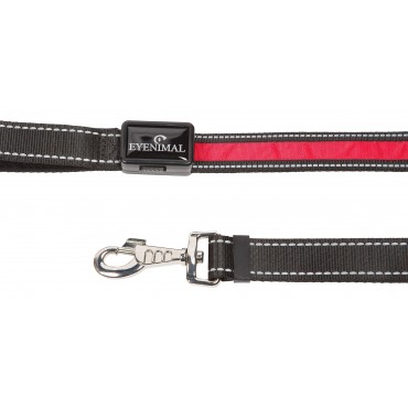 Laisses lumineuses Eyenimal 