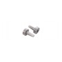 Protecteur de bouche en plastique Cal .36/.50 