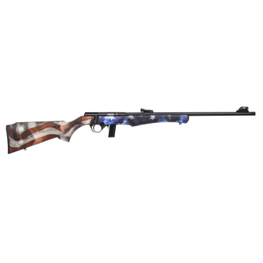 ROSSI 8122 USA .22LR