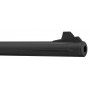 Carabine GAMO Delta Black synthétique - 4.5mm - 7,5 joules